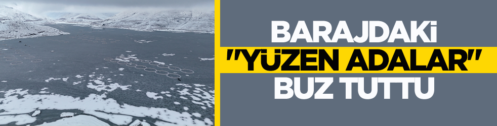 İki il arasında yapılmıştı! Barajdaki ‘yüzen adalar’ buz tuttu