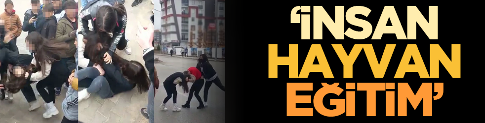 İnsan, hayvan, eğitim