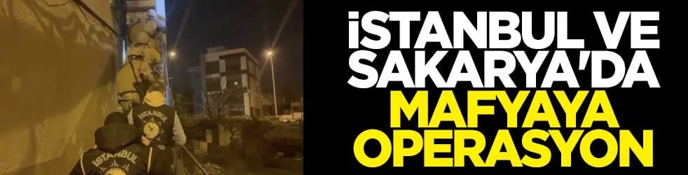 İstanbul ve Sakarya'da mafyaya operasyon