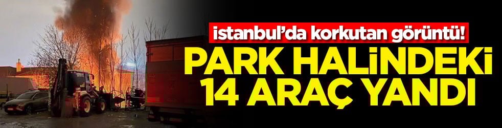 İstanbul’da korkutan görüntü! Park halindeki 14 araç yandı