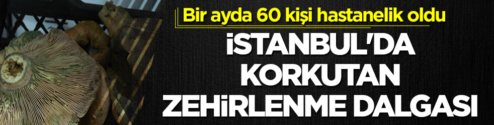 İstanbul’da korkutan zehirlenme dalgası: Bir ayda 60 kişi hastanelik oldu