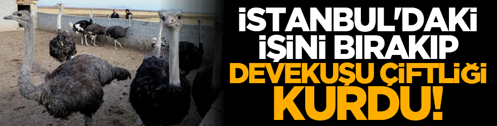 İstanbul'daki işini bırakıp, devekuşu çiftliği kurdu!