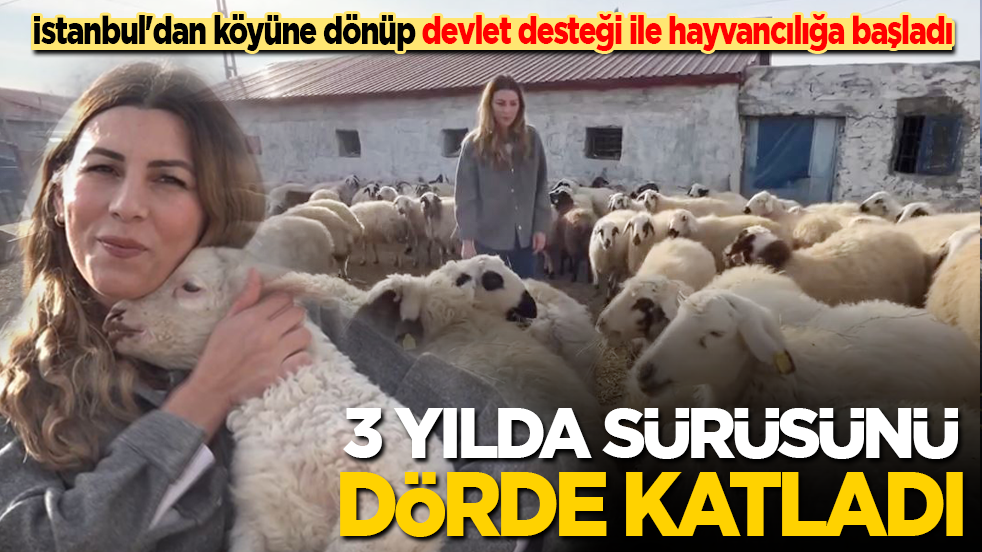 İstanbul'dan köyüne dönüp devlet desteği ile hayvancılığa başladı: 3 yılda sürüsünü 4'e katladı