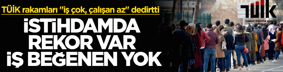 İstihdamda rekor var, iş beğenen yok! TÜİK rakamları ‘iş çok, çalışan az’ dedirtti