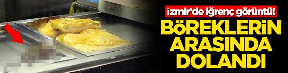 İzmir’de iğrenç görüntü! Böreklerin arasında dolandı