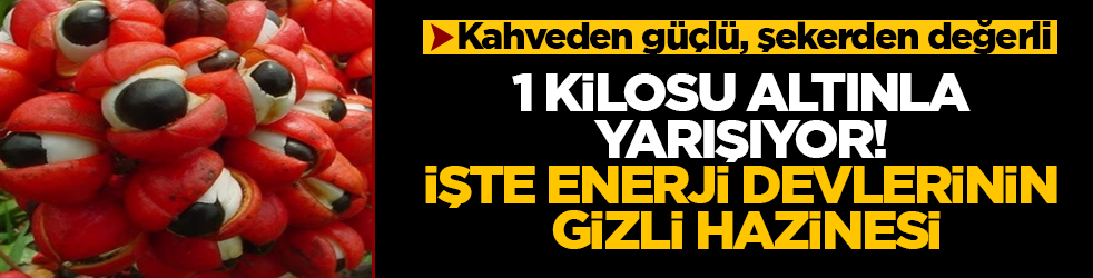 Kahveden güçlü, şekerden değerli: 1 kilosu altınla yarışıyor! İşte enerji devlerinin gizli hazinesi