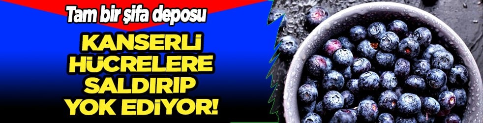 Kanserli Hücrelere saldırıp yok ediyor: Son yapılan araştırmalar belli oldu! Alternatif yoksa kansere çare olabilir