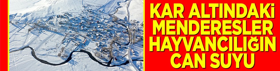 Kar altındaki menderesler hayvancılığın can suyu