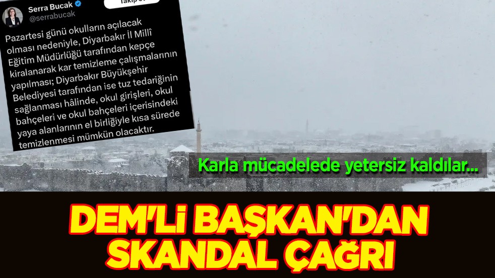 Karla mücadelede DEM'li Başkan'dan skandal çağrı