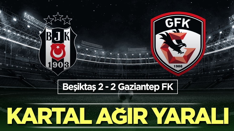 Kartal ağır yaralı