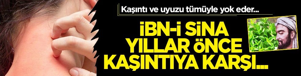 Kaşıntıya naneli çözüm! Kaşıntıya karşı öneri: Hem pişirin hem suyunu kullanın diyor! İşte formül, kullanım süresi
