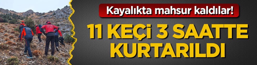 Kayalıkta mahsur kaldılar! 11 keçi 3 saatte kurtarıldı