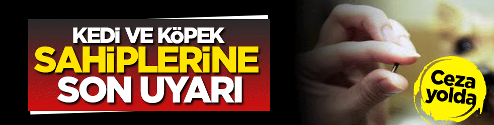 Kedi ve köpek sahiplerine son uyarı: Mikroçip için son gün 31 Aralık 2025! Taktırmayanlar cezalandırılacak