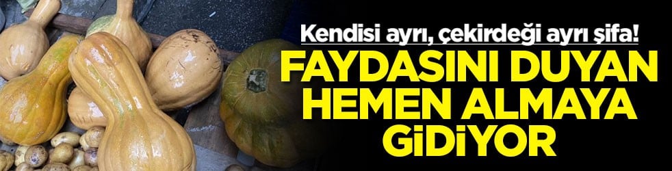 Kendisi ayrı, çekirdeği ayrı şifa! Faydasını duyan hemen almaya gidiyor