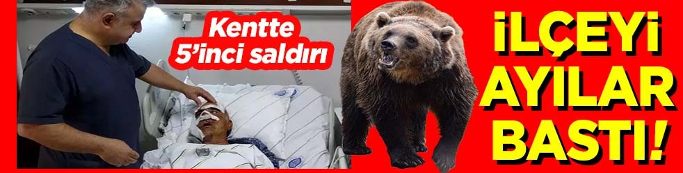 Kentte 5’inci saldırı İlçeyi ayılar bastı!