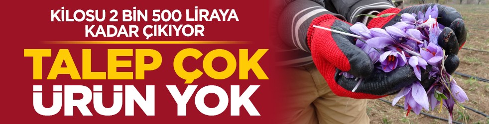 Kilosu 2 bin 500 liraya kadar çıkıyor: Talep çok ürün yok
