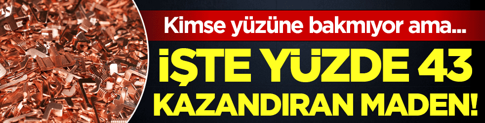 Kimse yüzüne bakmıyor: İşte yüzde 43 kazandıran maden!