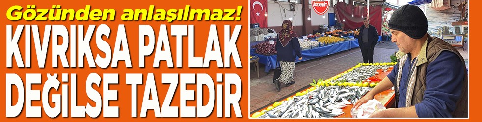 Kıvrıksa patlak değilse tazedir