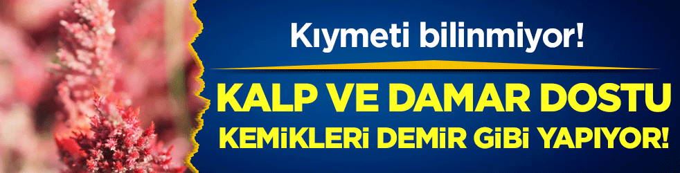 Kıymeti bilinmeyen tohum: Kemikleri demir gibi yapıyor!