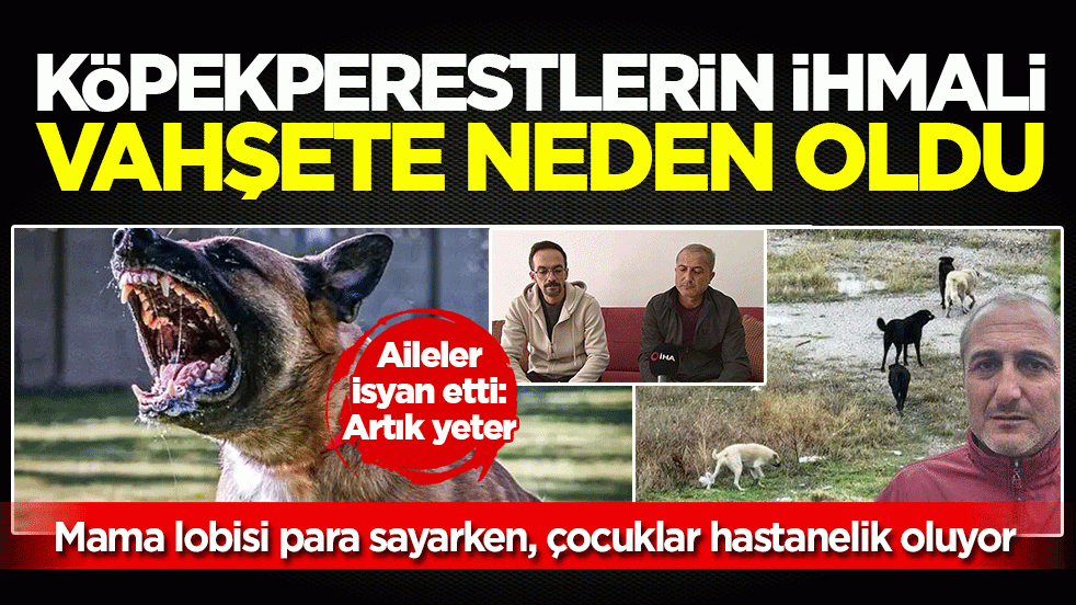 Köpekperestlerin ihmali vahşete neden oldu! Çocukları köpek saldırısına uğrayan aileler isyan etti: Artık yeter…