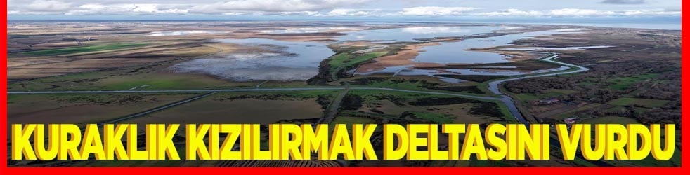 Kuraklık Kızılırmak deltasını vurdu