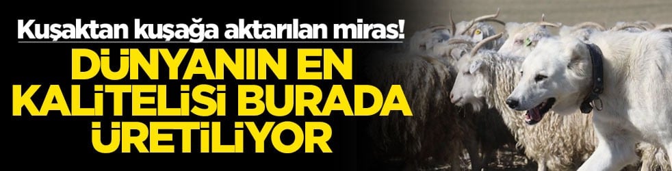 Kuşaktan kuşağa aktarılan miras! Dünyanın en kalitelisi burada