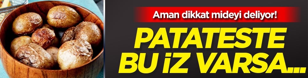 Lezzet yerine tehlike fışkıracak! Aman dikkat mideyi deliyor: Patateste bu iz varsa... Kimseye 'ye' demeyin