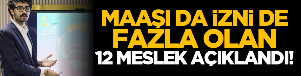 Maaşı da izni de fazla olan 12 meslek açıklandı!