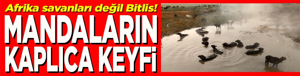 Mandaların kaplıca keyfi