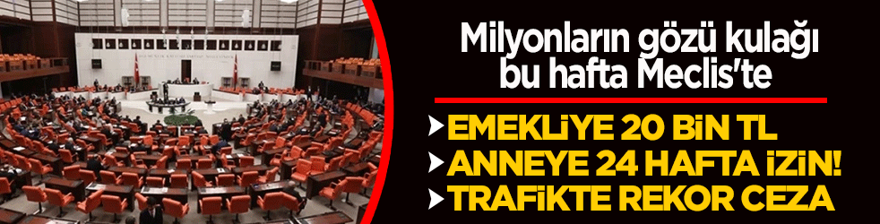 Meclis'te reform haftası: Trafik magandalarına men, emekliye ek zam, annelere izin