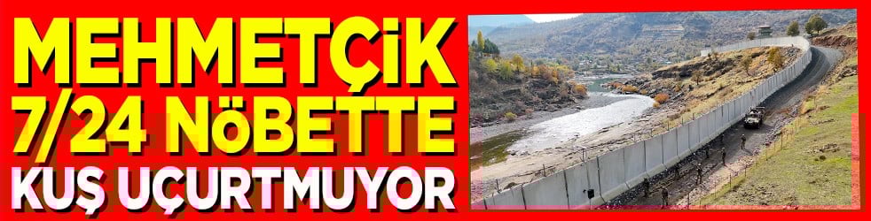 Mehmetçik 7/24 nöbette kuş uçurtmuyor