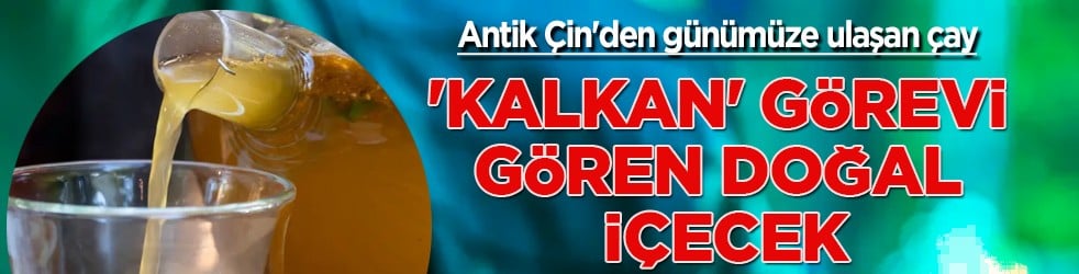 Nadir kullanılıyor ama antik huzurun anahtarı kombucha çayı: Tam bir hazine! Antik Çin'in tarihi ilacı 