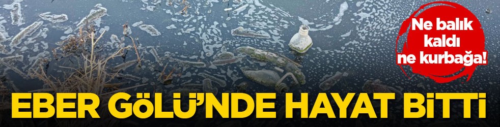 Ne balık kaldı ne kurbağa! Eber Gölü’nde hayat bitti