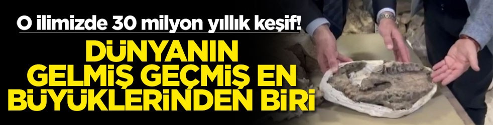 O ilimizde 30 milyon yıllık keşif! Dünyanın gelmiş geçmiş en büyüklerinden biri