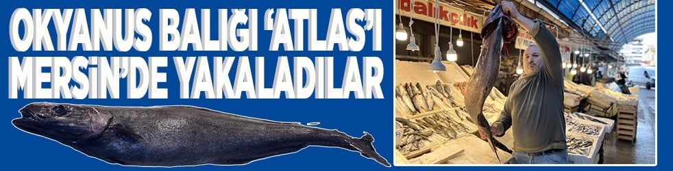 Okyanus balığı 'Atlas'ı Mersin'de yakaladılar