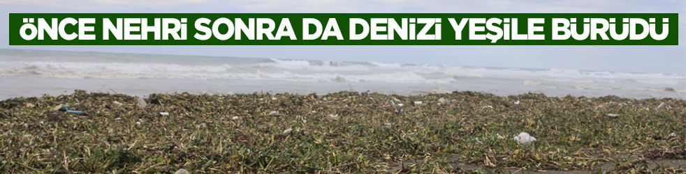 Önce nehri sonra da denizi yeşile bürüdü!