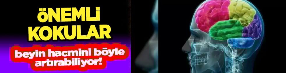 Önemli kokular beyin hacmini böyle artırabiliyor! Bilim insanları ilk kez açıkladı: Bakın gerçek kalıntılar neler