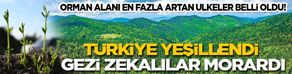 Orman alanı en fazla artan ülkeler belli oldu: Türkiye yeşillendi, Gezi zekalılar morardı
