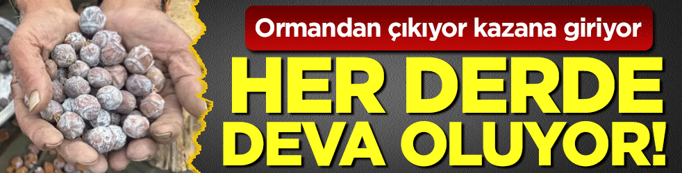 Ormandan çıkıyor kazana giriyor: Her derde deva oluyor.