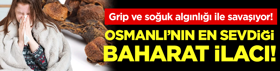 Osmanlı'nın en gözde baharatlı ilacı: Grip ve soğuk algınlığı ile savaşıyor!