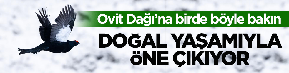 Ovit Dağı’na birde böyle bakın! Doğal yaşamıyla öne çıkıyor