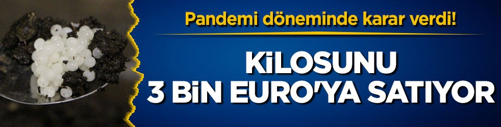 Pandemi döneminde karar verdi! Kilosunu 3 bin Euro'ya satıyor