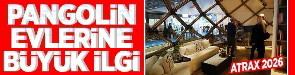 Pangolin evlerine büyük ilgi