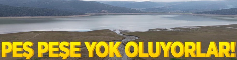 Peş peşe yok oluyorlar!