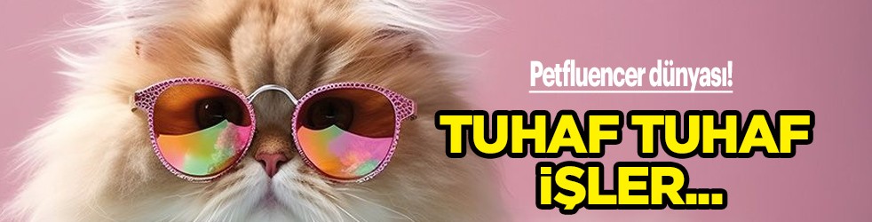 Petfluencer dünyası dev bir pazara dönüştü! Tuhaf tuhaf işler: Olasılığıyla ilgili çarpıcı açıklamalar