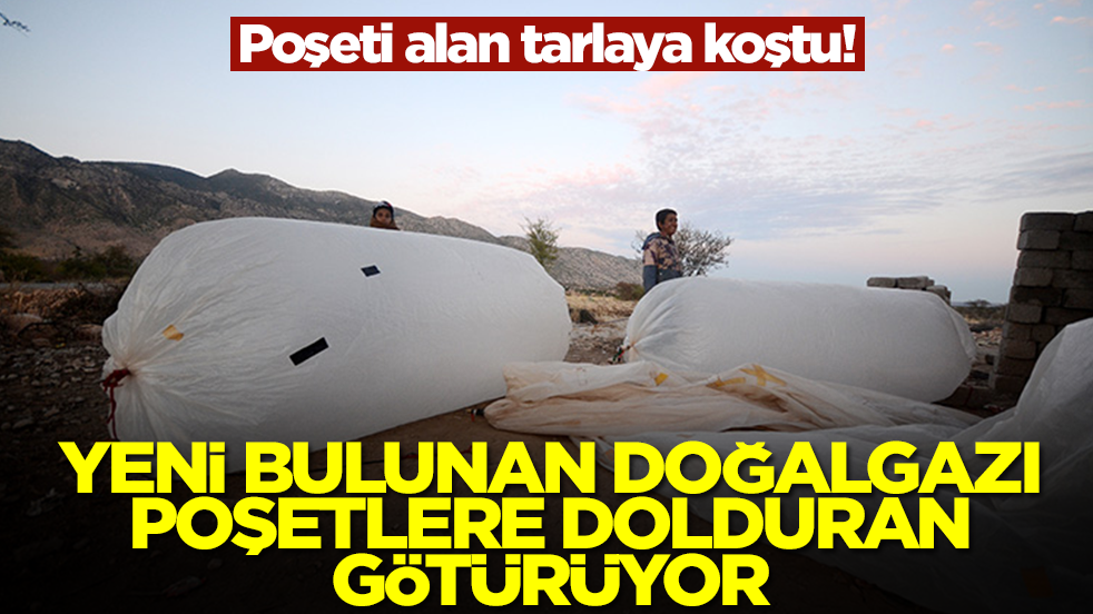 Poşeti alan tarlaya koştu! Yeni bulunan doğalgazı poşetlere dolduran götürüyor