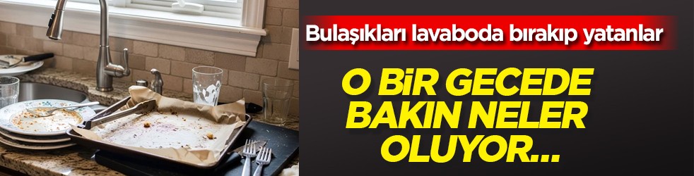 Sabır önemli! Kirli bulaşıkları lavaboda bırakıp yatanlar dikkat: O gece bakın neler oluyor! En önemli çözüm bu izin verin