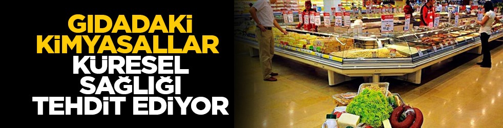 Sessiz zehir: Gıdadaki kimyasallar küresel sağlığı tehdit ediyor