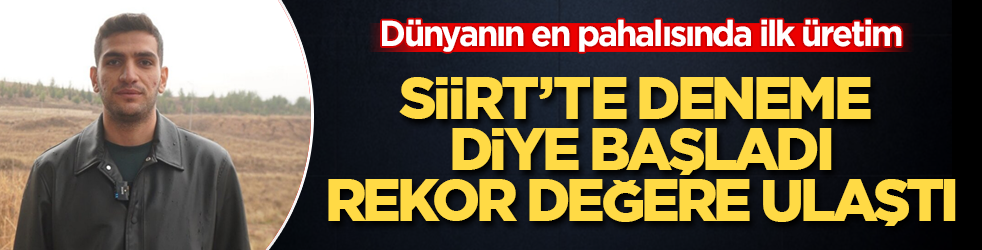 Siirt’te deneme diye başladı, rekor değere ulaştı! Dünyanın en pahalısında ilk üretim
