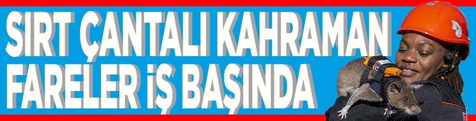 Sırt çantalı kahraman fareler iş başında